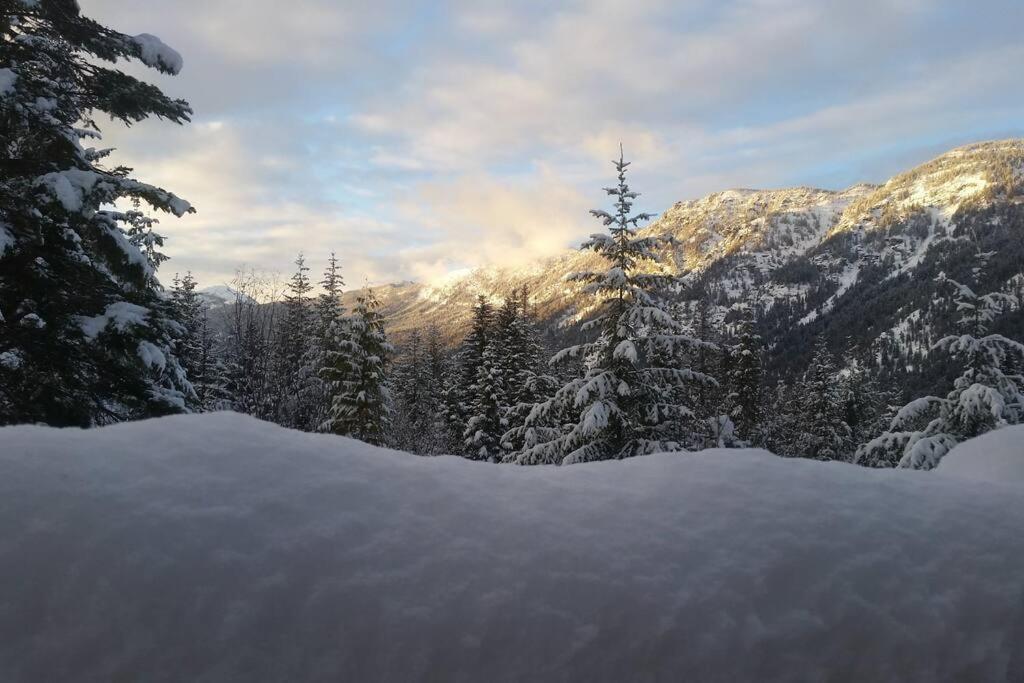 Hot Tub Cool Views: Roaring Creek Cabin Leavenworth Εξωτερικό φωτογραφία